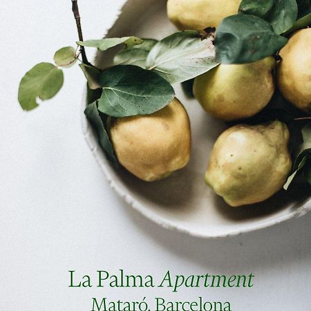 Apartamento Atico En El Casco Antiguo Mataró Екстериор снимка